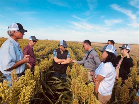 More Than 65 International Buyers Attend Export Sorghum ...