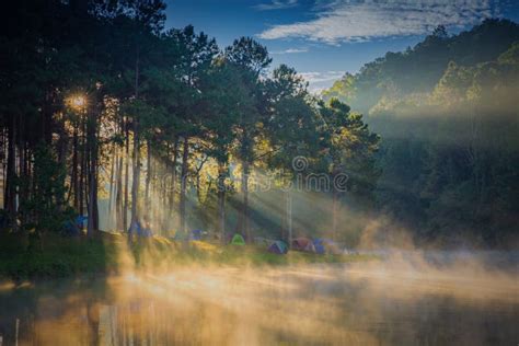 Sunrise At Pang Ung Lake Park With Silhouette Pine Trees And Shadow At