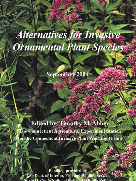 Native Alternatives For Invasive Ornamental Plant Species Pdf Introduced Species Invasive