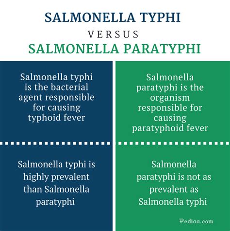 This systemic infection involves organs other than the gastrointestinal. Difference Between Salmonella Typhi and Paratyphi ...