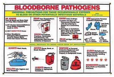 Brady PS125E Bloodborne Pathogen Poster From Masterflex