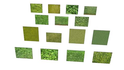 Grass Lawn And Leaves Textures 3d Warehouse