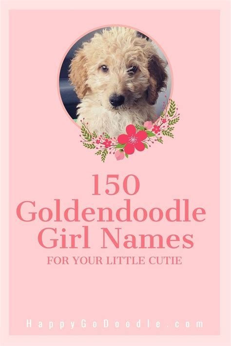150 Goldendoodle Girl Names Cute Unique A Dood Able Puppy Girl