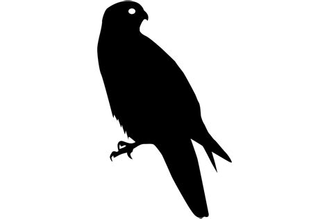 Falcon Bird Silhouette Graphic By Idrawsilhouettes · Creative Fabrica