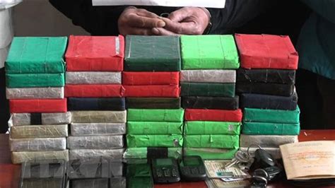 Lao Cai arrests three drug traffickers - The Saigon Times