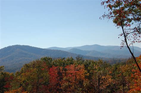 Fall Foliage Map When Will The Leaves Change Color — Forsyth County