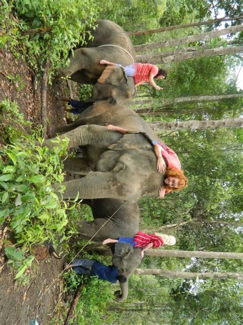 Sexy Women Riding Bareback Barefoot On Elephants In The Jungle Sexy Frauen Reiten Ohne Sattel