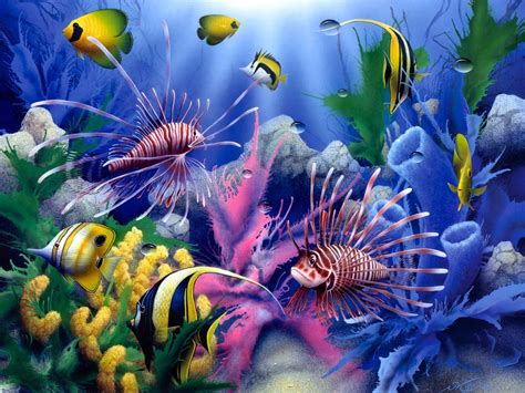 Colorful Underwater Fish Wallpaper Wallpapersafari