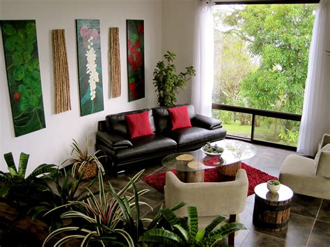 Eight Common Indoor Plant Myths Living Room Plants