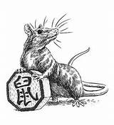 Zodiac Rat Pictures