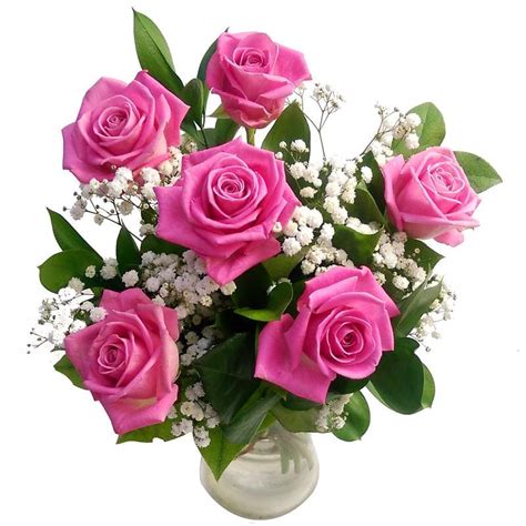 Pink Roses Bouquet Ubicaciondepersonas Cdmx Gob Mx