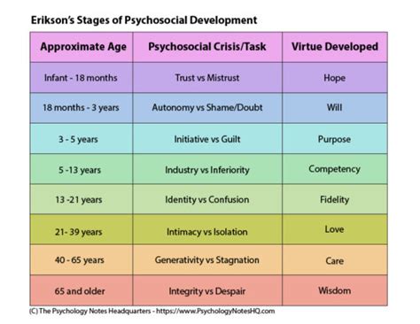Erikson's theory describes all the social and environmental factors which shape our. Erikson's Theory of Life Stages Development - Peachy Essay