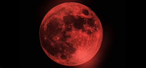 Roses, lilies, orchids, tulips, sunflowers, irises, carnations Experts Say Rare Super Blood Moon Will Cause Break-Ups
