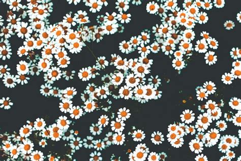 Floral Iphone Wallpapers Archives Preppy Wallpapers Preppy