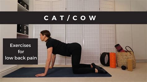 Cat Cow Exercises For Low Back Pain YouTube