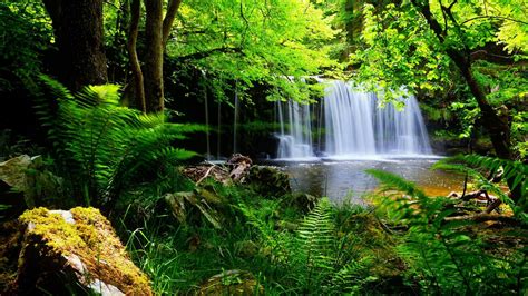 Waterfalls Pouring On River Surrounded By Green Trees Bushes Plants Hd