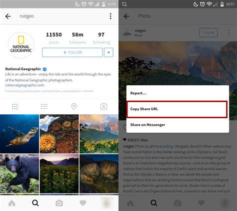 Save Photos And Videos From Instagram Online File Conversion Blog