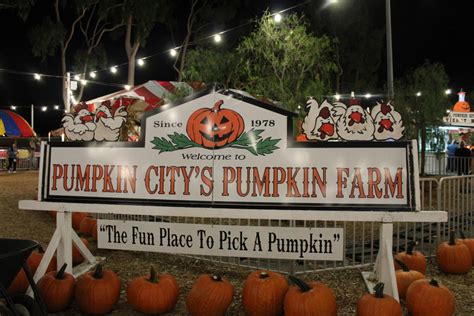 Top 3 Pumpkin Patches Of Southern California Triton Times