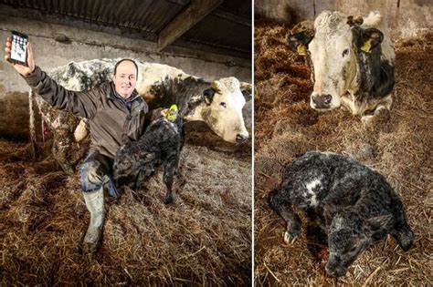 Multi Millionaire Dairy Farmer Dies After Being Crushed By Own Tractor