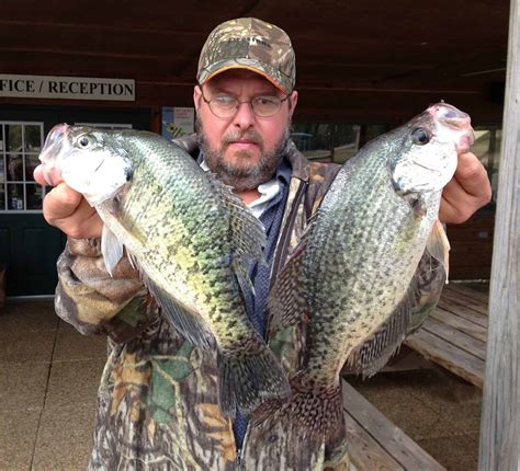 Top 100 Pictures Picture Of A Crappie Fish Stunning
