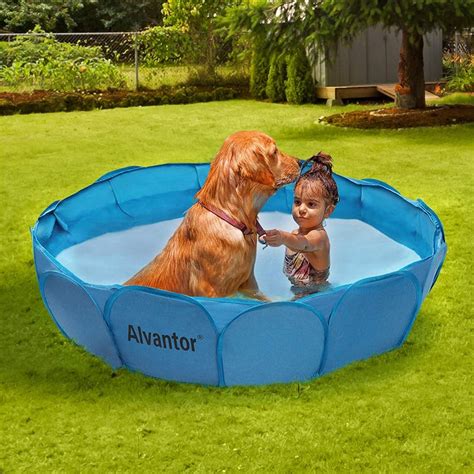 The 4 Best Dog Pools