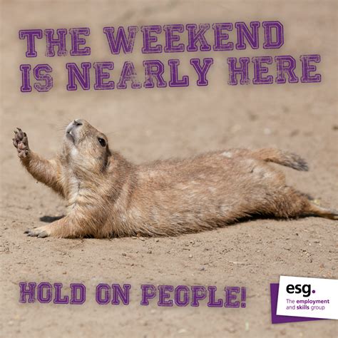 The Weekend Is Nearly Here Hold On People Weekend