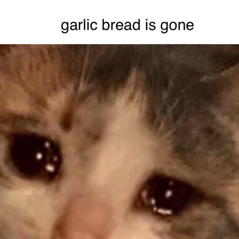 I Dont Know How Cats Cry Memes