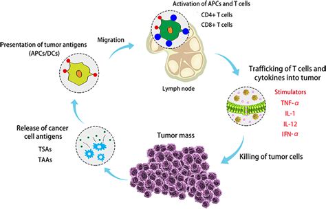 Nanotechnology Platforms For Cancer Immunotherapy Yang 2020 Wires