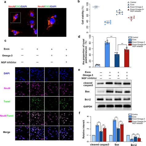 Omega 3 PUFA Inhibits Neuronal Apoptosis Induced By Microglial Exosomes