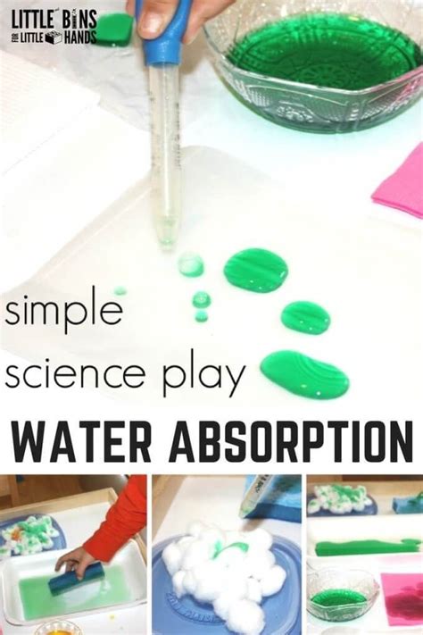 absorbs water absorption  kids water science experiments