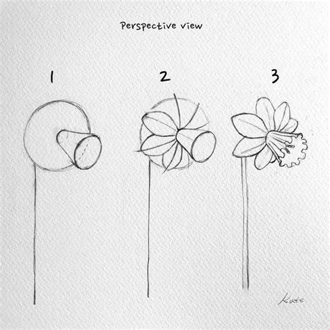 Easy Flower Drawings In Pencil Step By Step A Beautiful Flower Always