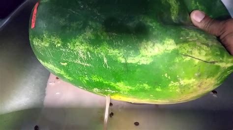 How You Know Your Watermelon Has Gone Bad Youtube