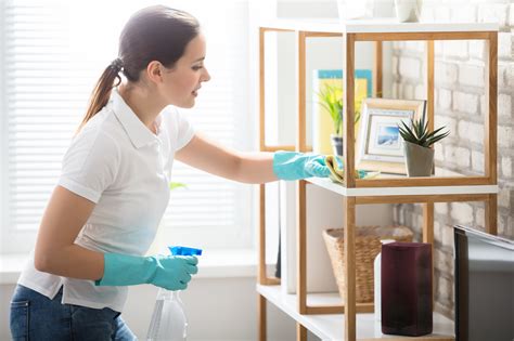 How Often Should You Clean Your House A Detailed Guide
