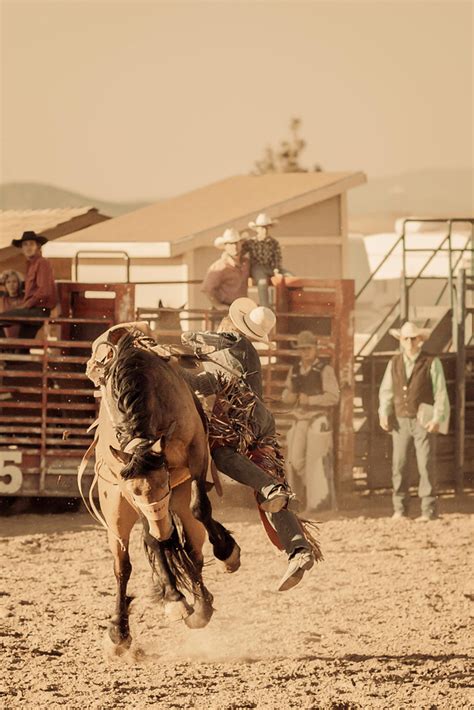 Q9a4212 United States Rodeo In Bryce Canyon City Utah Francoise