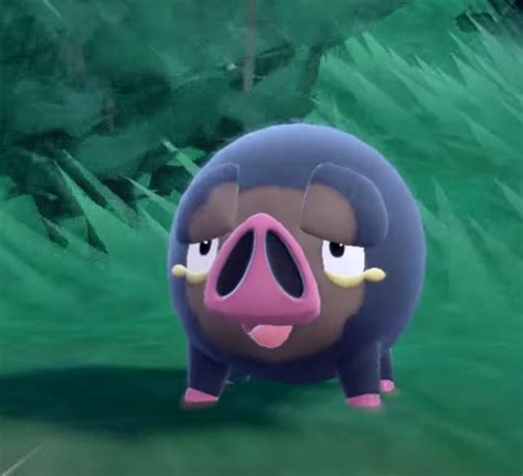 Code41den On Twitter Rt Oocpokemon They Named This Mf Lechonk