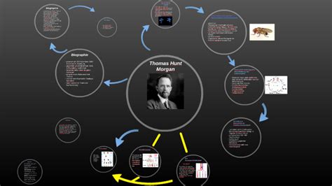 Thomas Hunt Morgan by Shadow Xohoo on Prezi