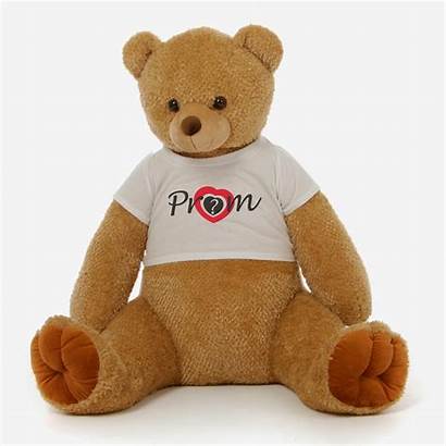 Teddy Bear Amber Brown Date Tubs Honey