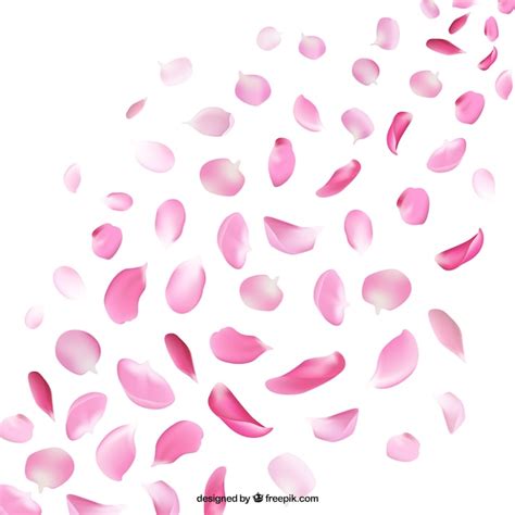 Premium Vector Petals Of Cherry Blossom