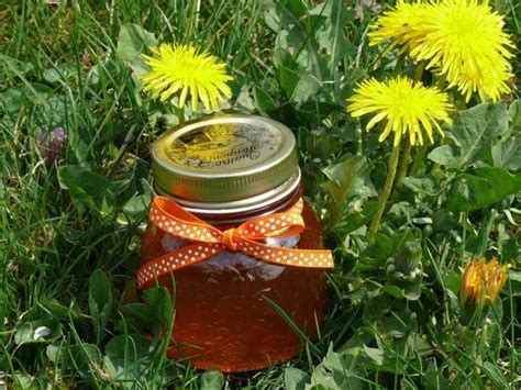 Confiture de fleurs de pissenlits