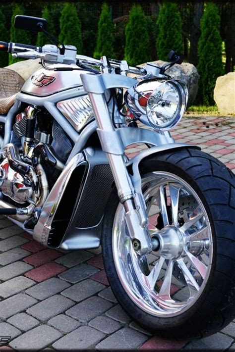 Harley Davidson Vrsca V Rod Muscle Leather By Fredy Motorcycles