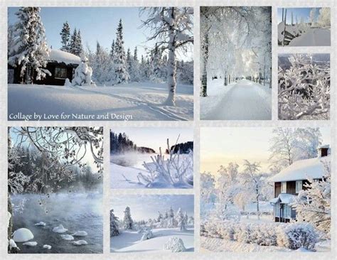White Winter Wonderland♡♡♡ Each And Everyone Winter Scenery Winter