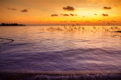 Twilight Sunset With Sea Stock Photo Image Of Orange 73902470