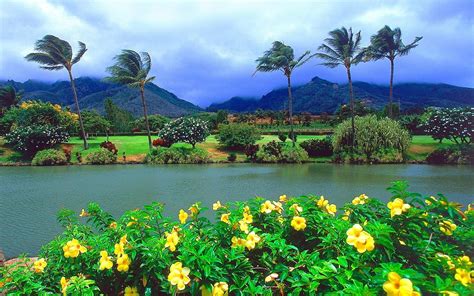 Maui Island Hawaii Papel De Parede Hd Plano De Fundo 1920x1200