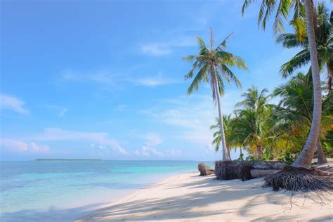 16 Best Islands To Visit In The Philippines Veena World