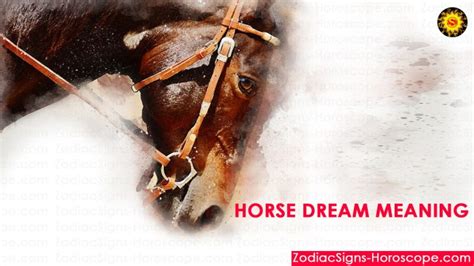 Horse Dream Meaning Interpretation And Dream Symbolism Zsh