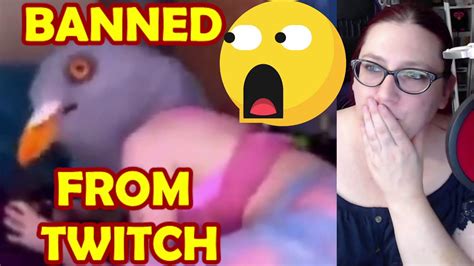 Twitch Weird Asmr Finally Banned Youtube