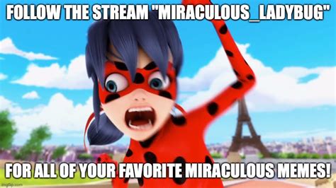 Miraculous Ladybug Stream Imgflip