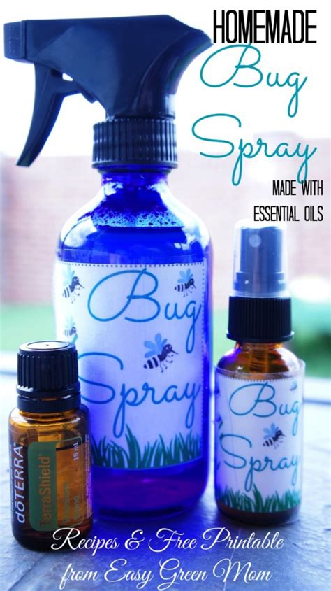 Natural Homemade Insect Sprays And Traps