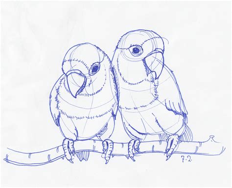 Pencil Drawing Pictures Of Birds At Getdrawings Free Download