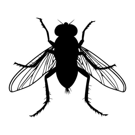 Premium Vector Fly Silhouette Isolated On White Background Icon